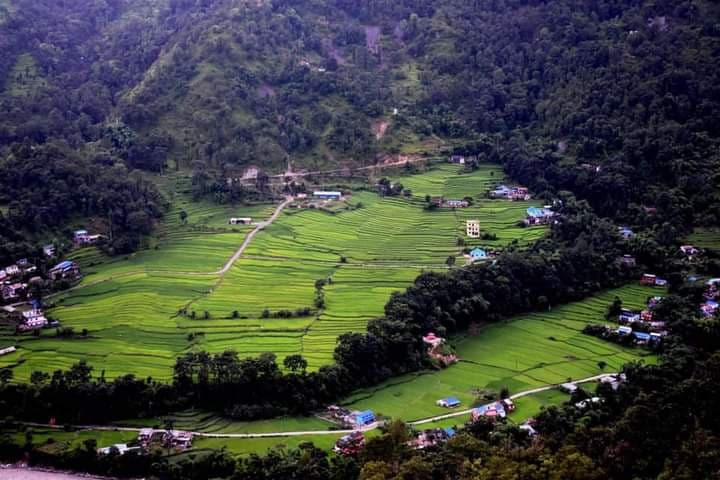 म्याग्दीमा रैथाने बाली लोप हुँदै